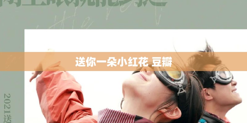 送你一朵小红花 豆瓣