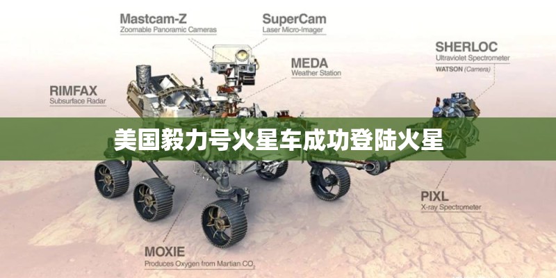 悲天悯人啥意思