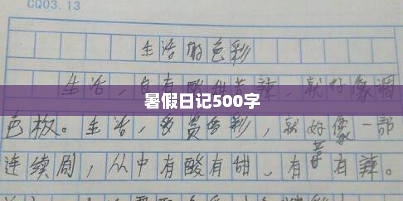 暑假日记500字 暑假日记500字