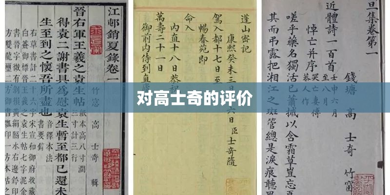 对高士奇的评价 对高士奇的评价