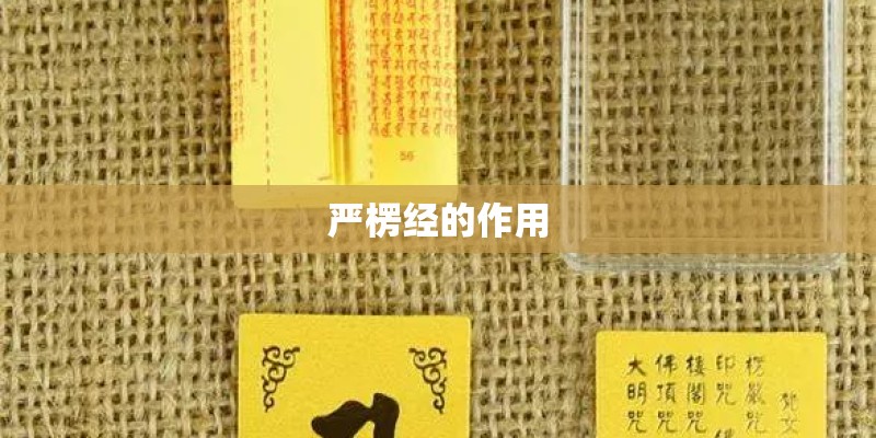 严楞经的作用 严楞经的作用
