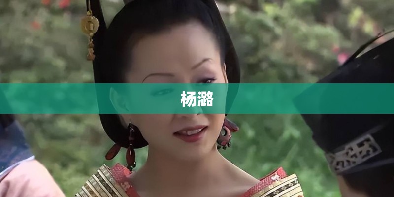杨潞 杨潞