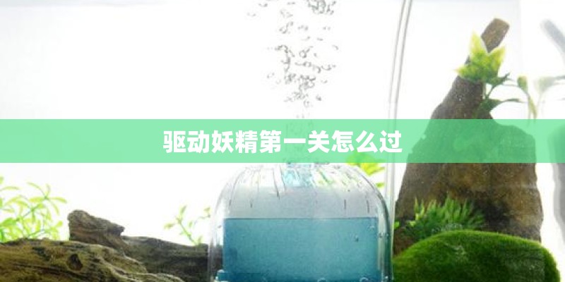 驱动妖精第一关怎么过