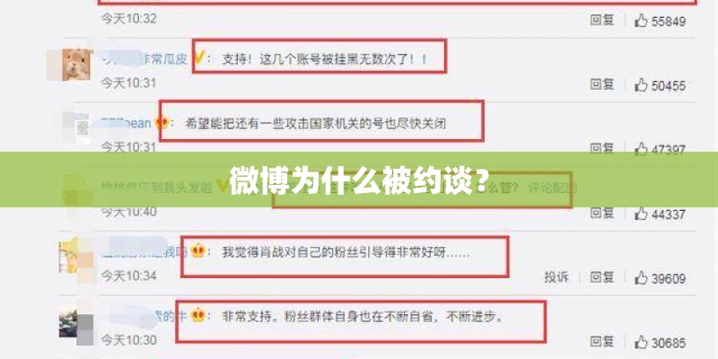 邓飞的人物经历