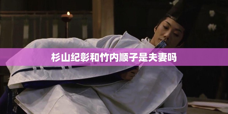 杉山纪彰和竹内顺子是夫妻吗