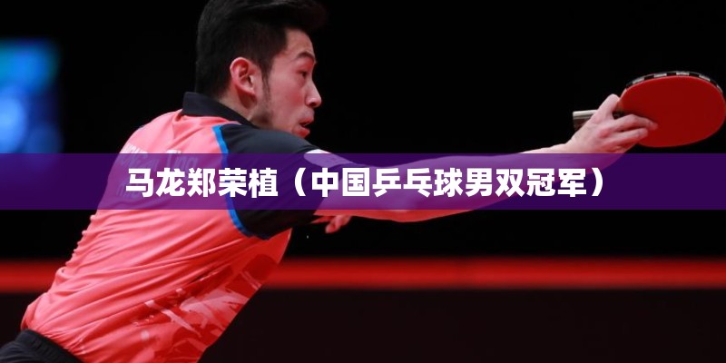 马龙郑荣植（中国乒乓球男双冠军）