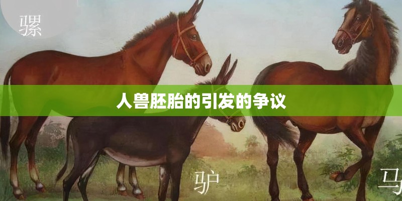 人兽胚胎的引发的争议