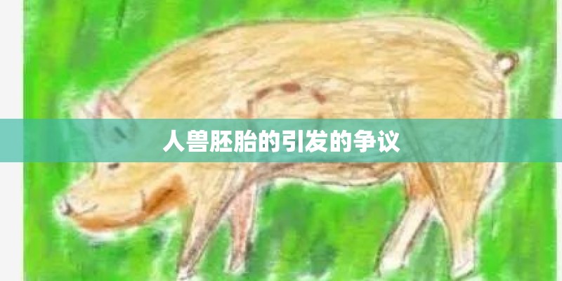 人兽胚胎的引发的争议 人兽胚胎的引发的争议