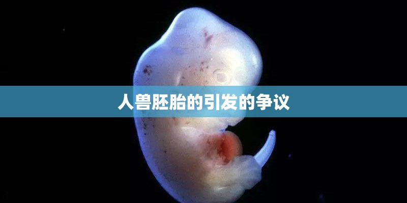 人兽胚胎的引发的争议 人兽胚胎的引发的争议