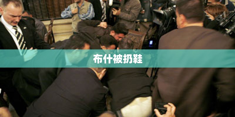 布什被扔鞋 布什被扔鞋