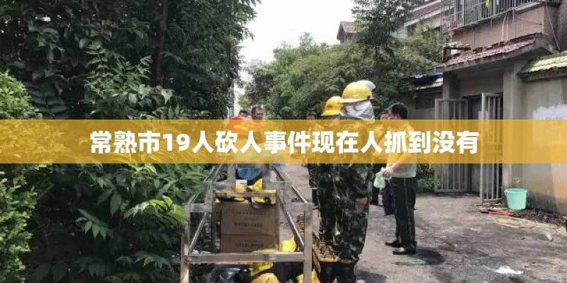 常熟市19人砍人事件现在人抓到没有