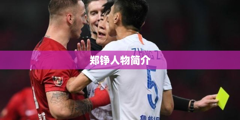 郑铮人物简介