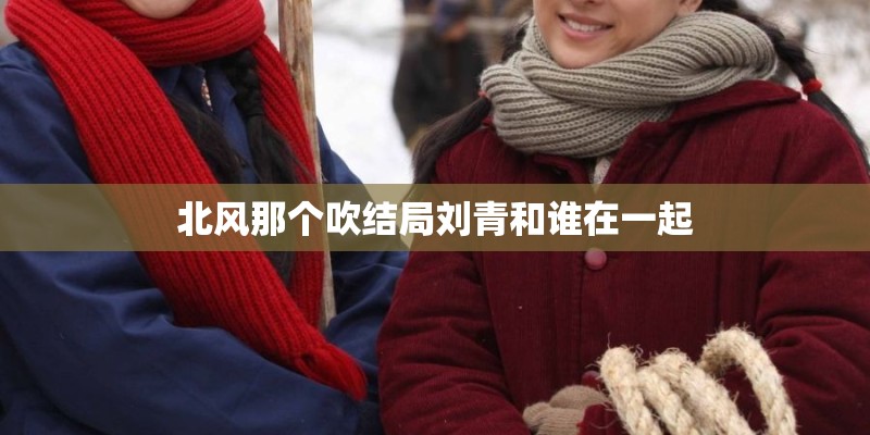 北风那个吹结局刘青和谁在一起
