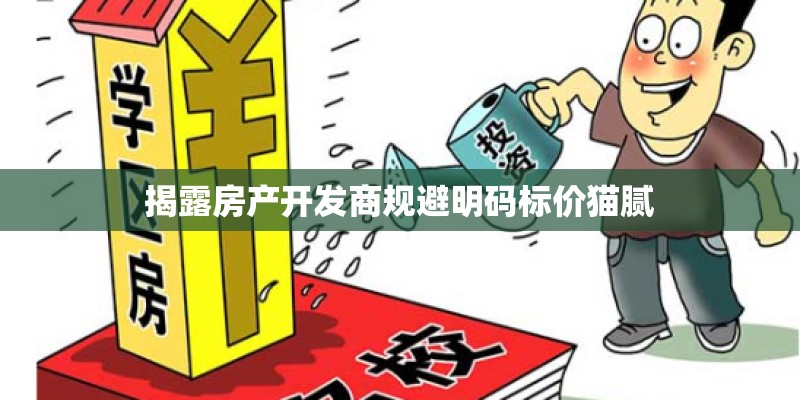 揭露房产开发商规避明码标价猫腻