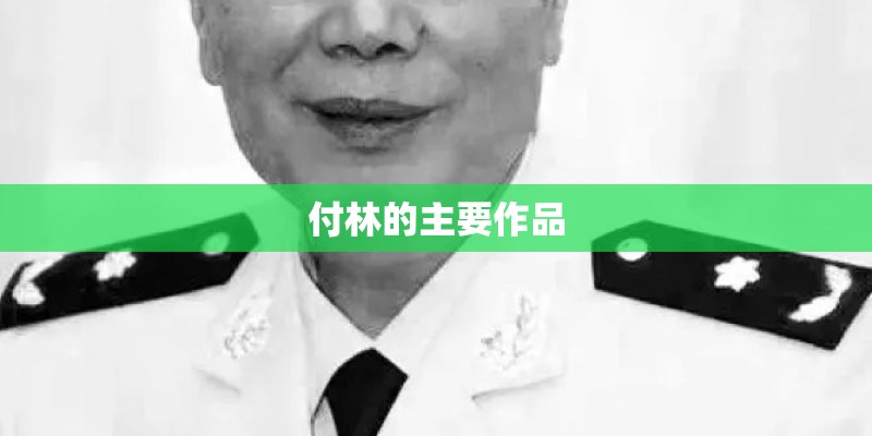 付林的主要作品