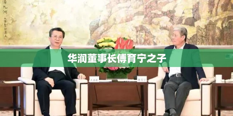 华润董事长傅育宁之子 华润董事长傅育宁之子