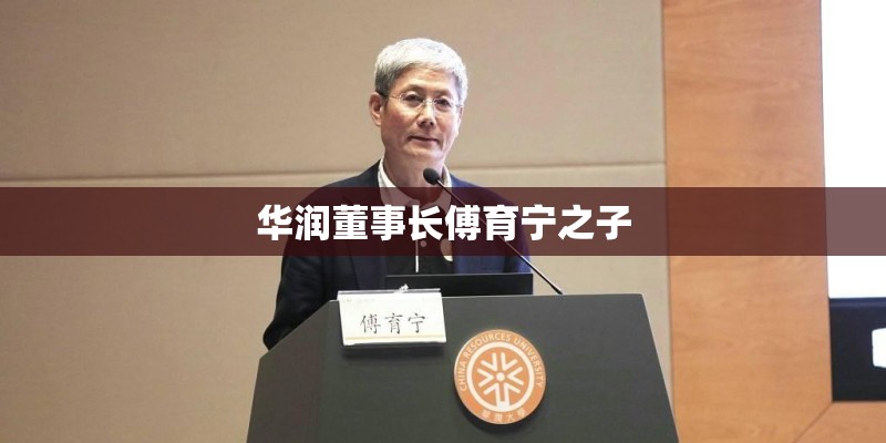 华润董事长傅育宁之子 华润董事长傅育宁之子