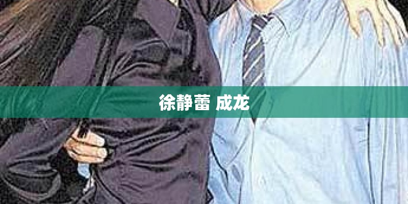徐静蕾 成龙