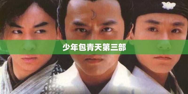 少年包青天第三部