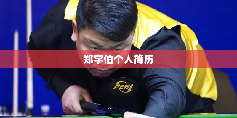 郑宇伯个人简历