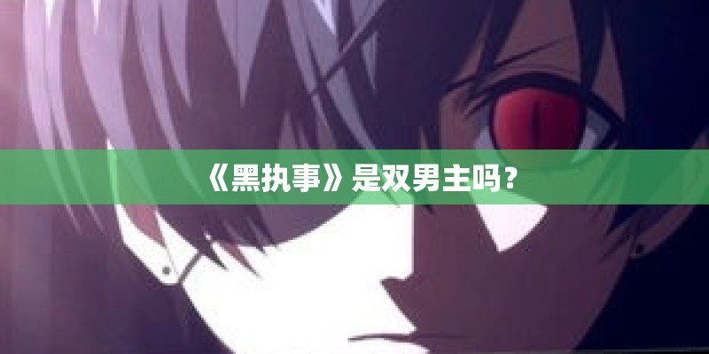 《黑执事》是双男主吗？