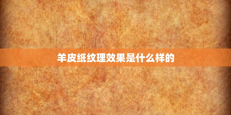 羊皮纸纹理效果是什么样的