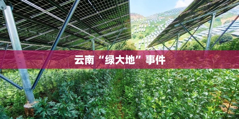 云南“绿大地”事件