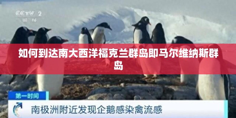如何到达南大西洋福克兰群岛即马尔维纳斯群岛