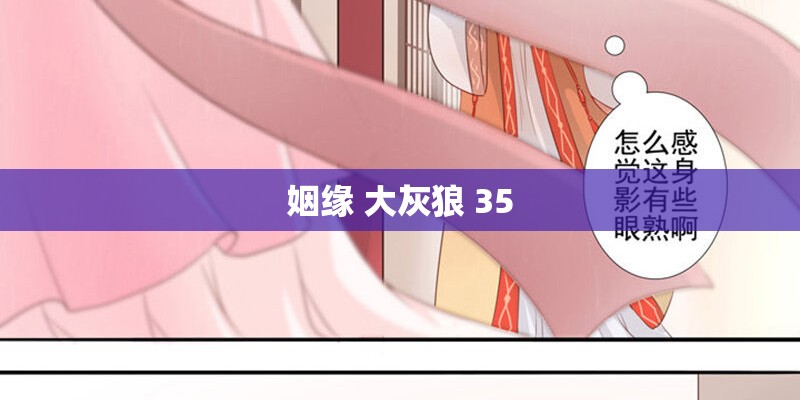 姻缘 大灰狼 35