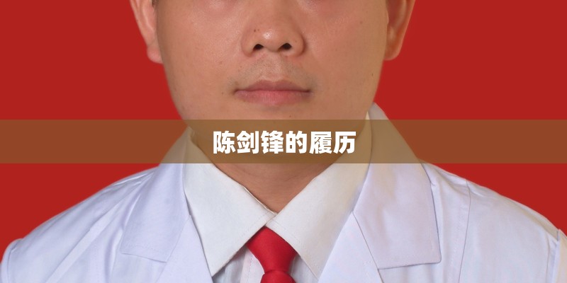 陈剑锋的履历