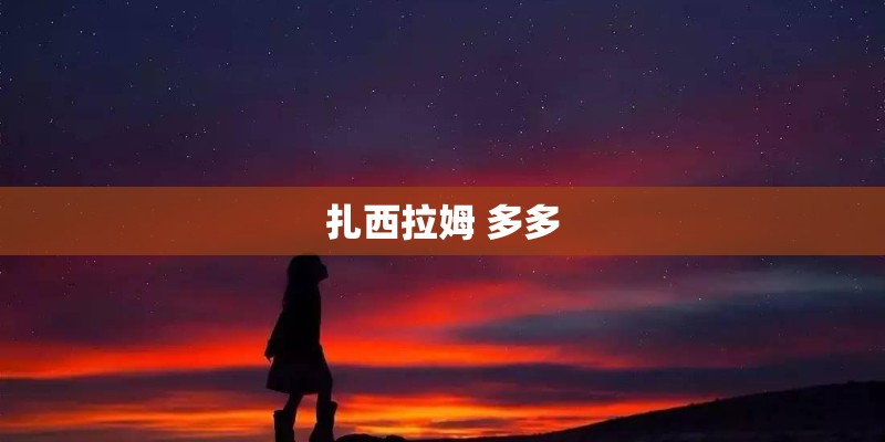 扎西拉姆 多多