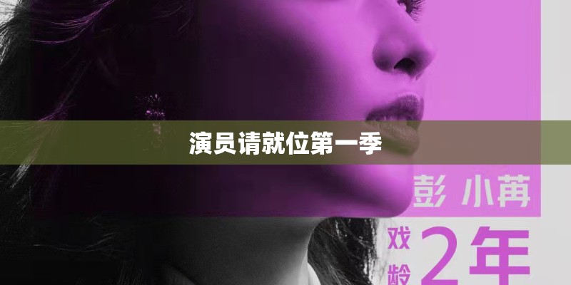 演员请就位第一季
