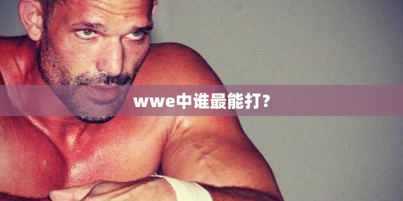 wwe中谁最能打？