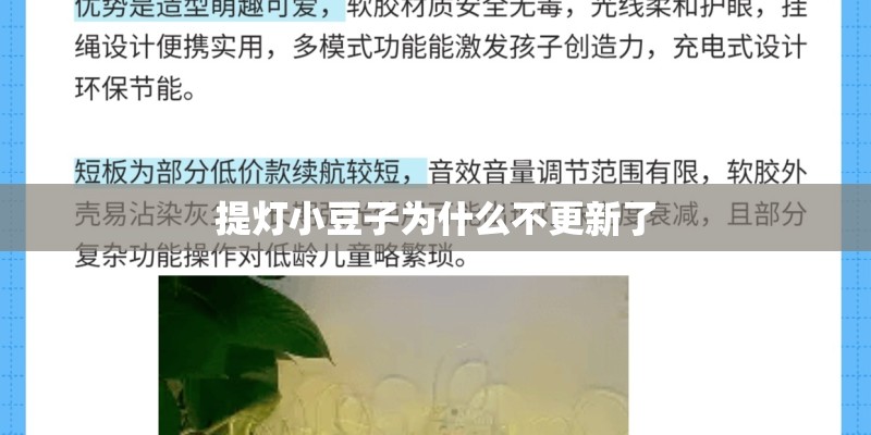 提灯小豆子为什么不更新了