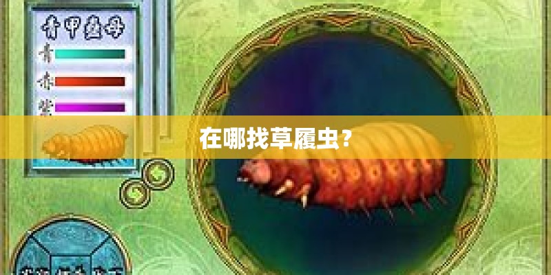 在哪找草履虫？