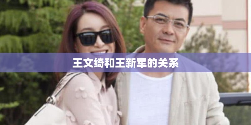 王文绮和王新军的关系