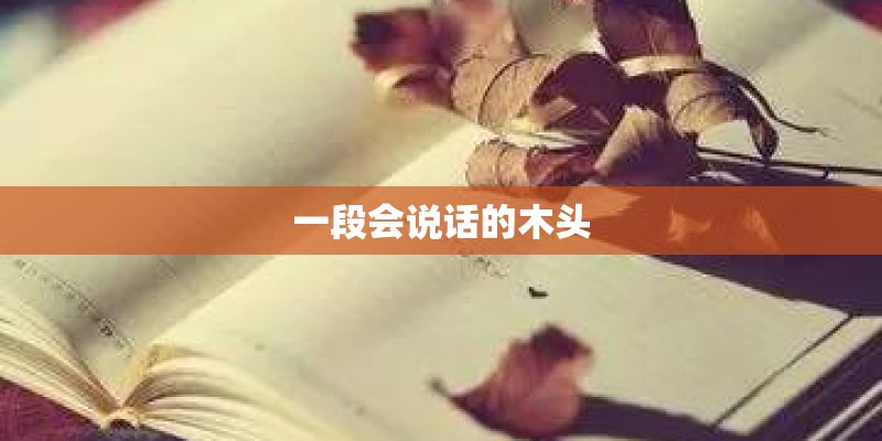 一段会说话的木头