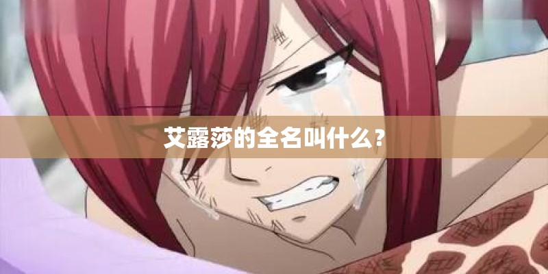 典韦