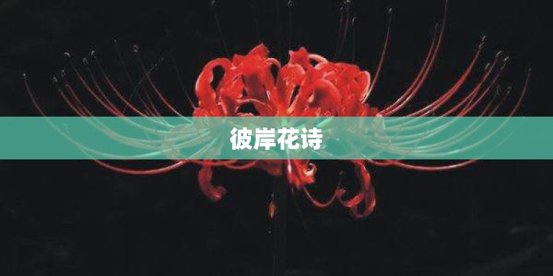 彼岸花诗